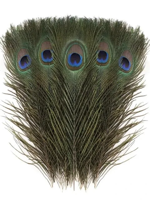 Dabīgās pāva spalvas - 30 līdz 40 cm