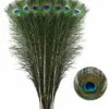 Dabīgās pāva spalvas - 45 līdz 55 cm