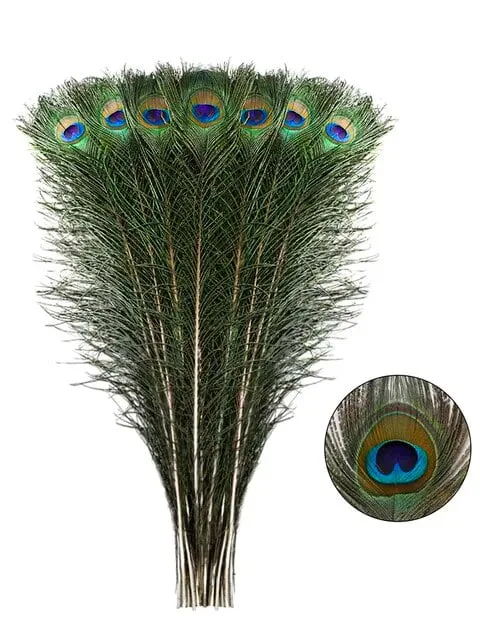 Dabīgās pāva spalvas - 45 līdz 55 cm