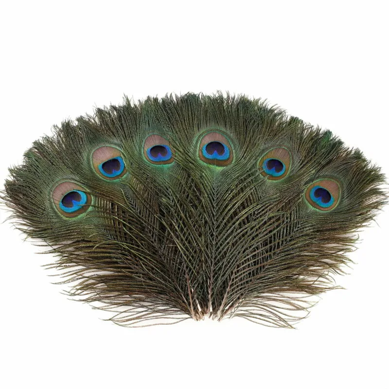 Dabīgās pāva spalvas